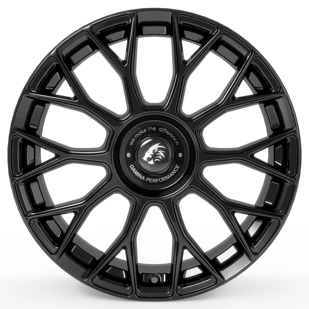 Damina Performance DM10