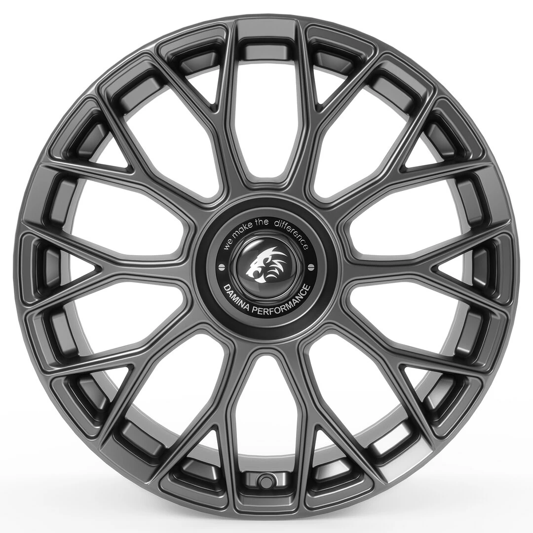 Damina Performance DM10