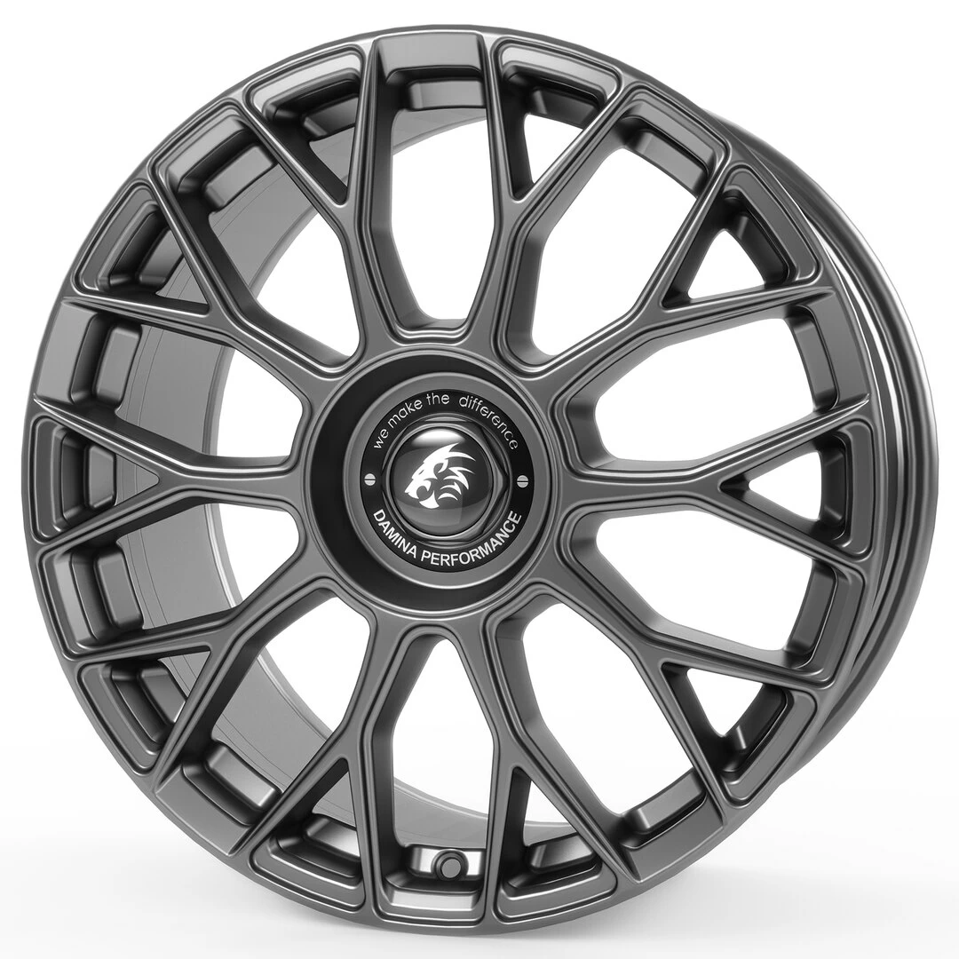 Damina Performance DM10