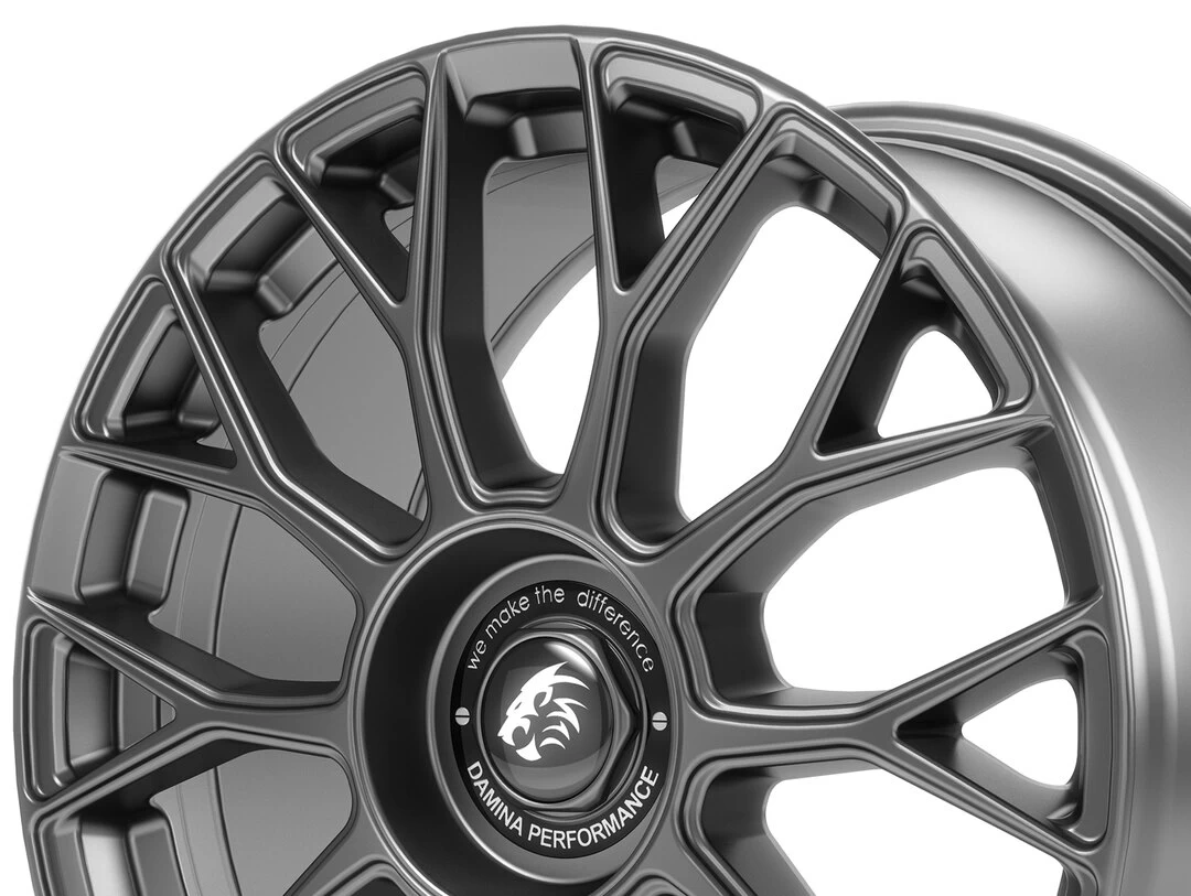 Damina Performance DM10