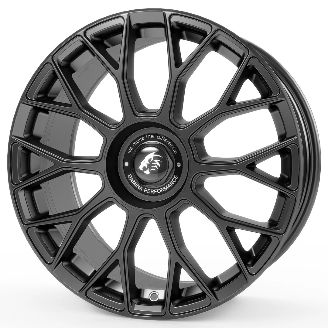 Damina Performance DM10