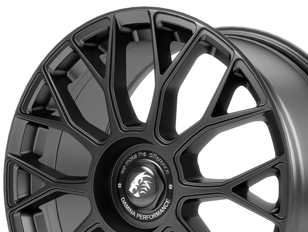 Damina Performance DM10