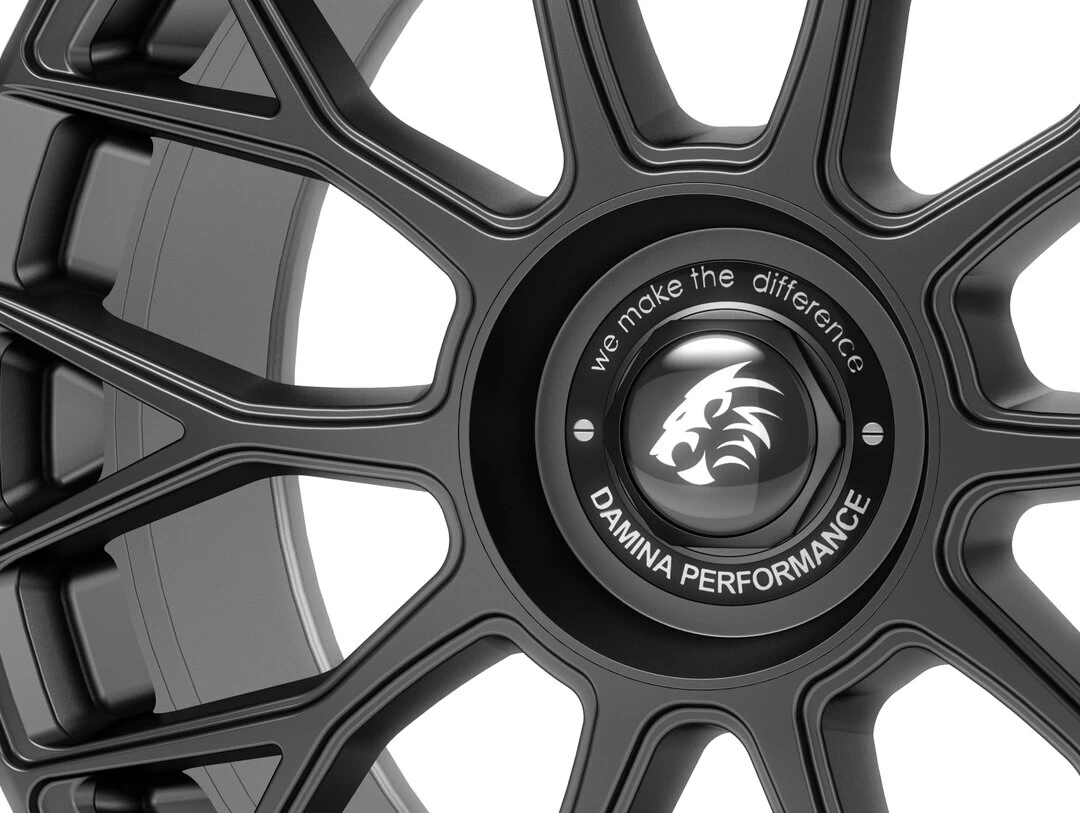 Damina Performance DM10