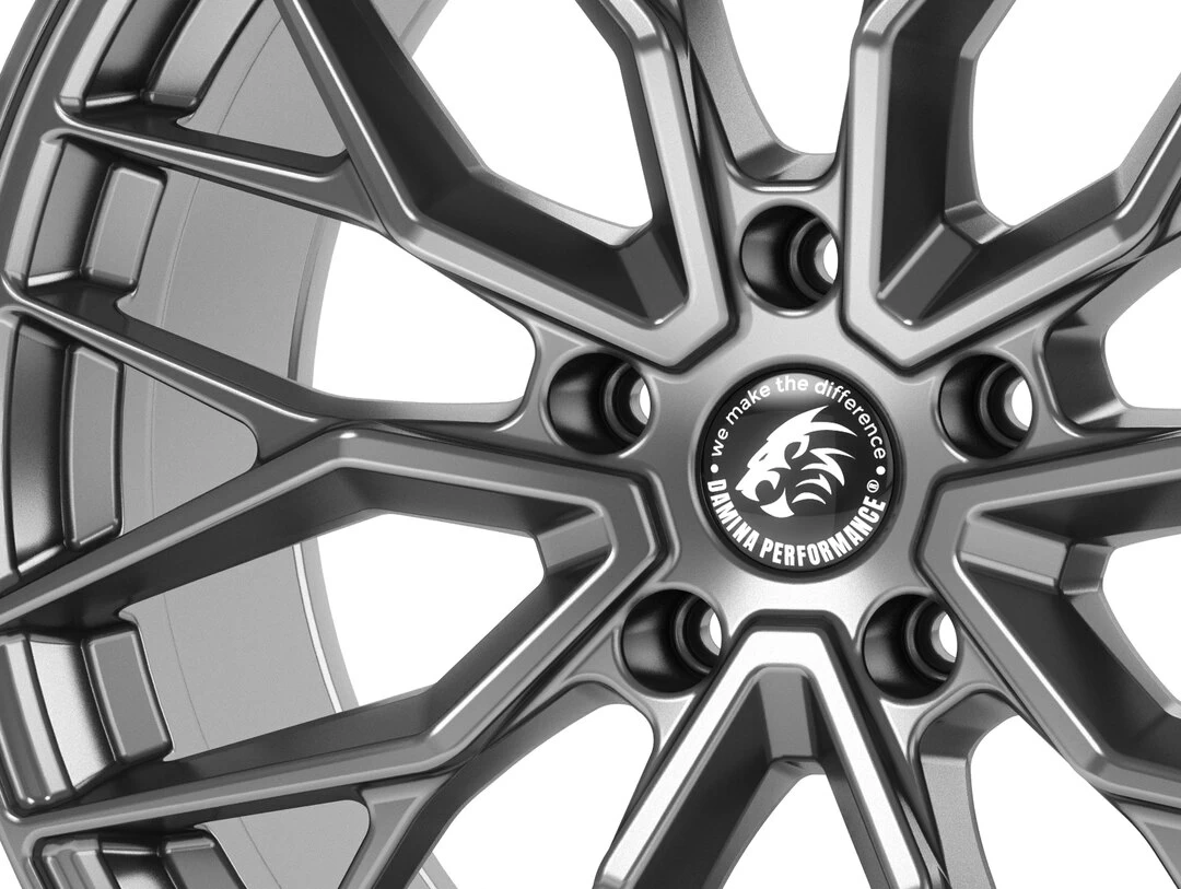 Damina Performance DM20