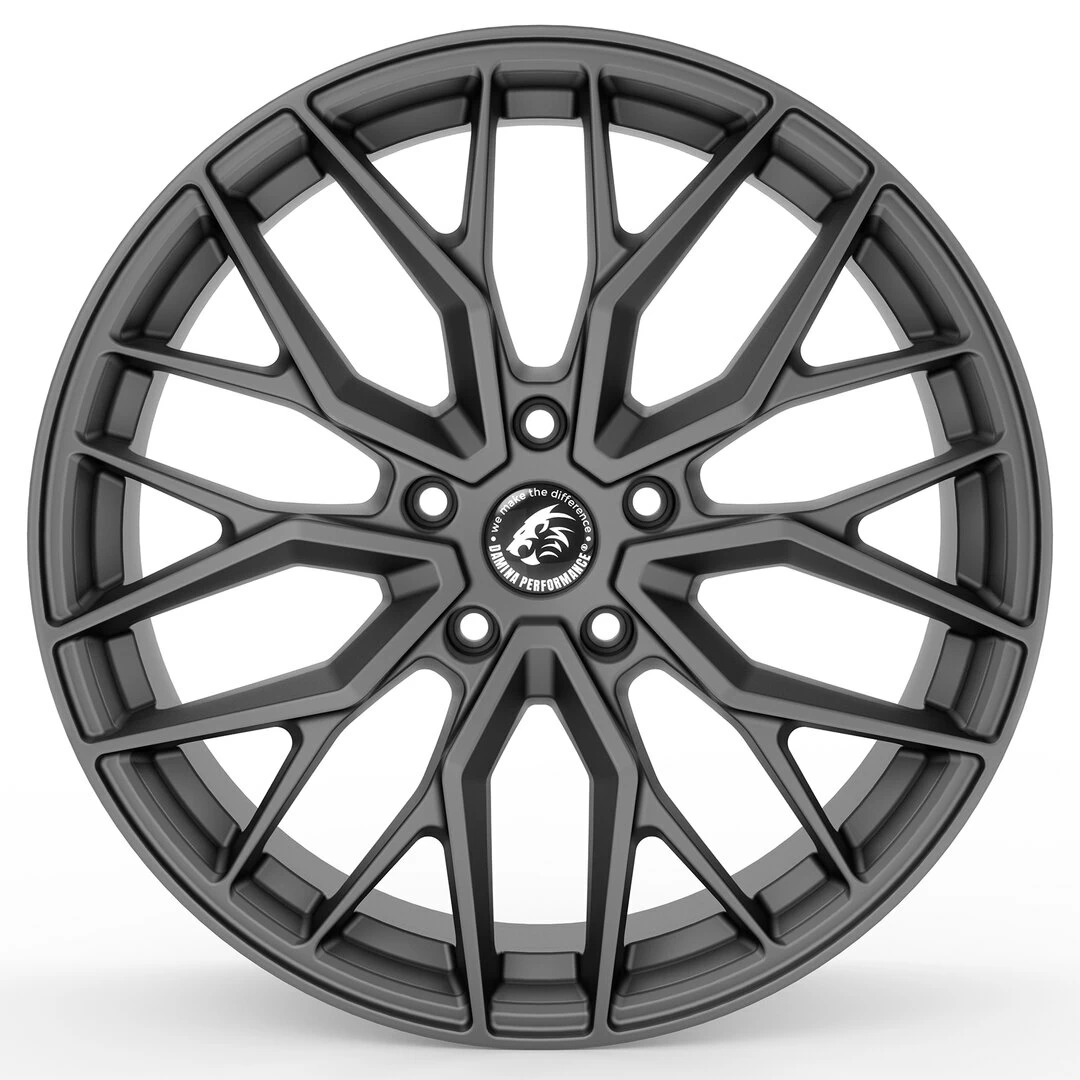 Damina Performance DM20