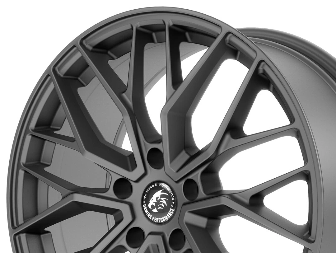 Damina Performance DM20