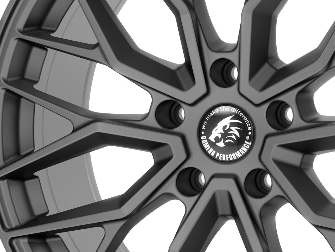 Damina Performance DM20