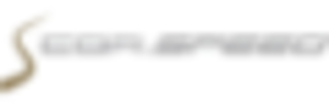 Corspeed logo